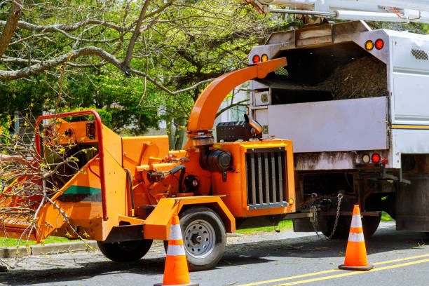 Best Tree and Shrub Care  in Big Rock, IL